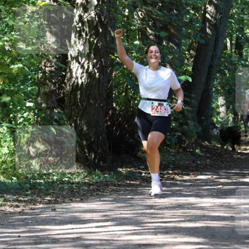 28.09.2025 - 33. Volkslauf durch das schöne Alstertal Strokosch-Dieckow http://msf.ph/oto/8974780 28.09.2025 13:01:48 Laufen 2483 meine-sportfotos.de