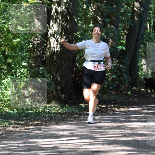 28.09.2025 - 33. Volkslauf durch das schöne Alstertal Strokosch-Dieckow http://msf.ph/oto/8974783 28.09.2025 13:01:48 Laufen 2483 meine-sportfotos.de