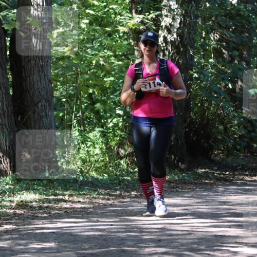 28.09.2025 - 33. Volkslauf durch das schöne Alstertal Strokosch-Dieckow http://msf.ph/oto/8974786 28.09.2025 13:02:23 Laufen 114 meine-sportfotos.de