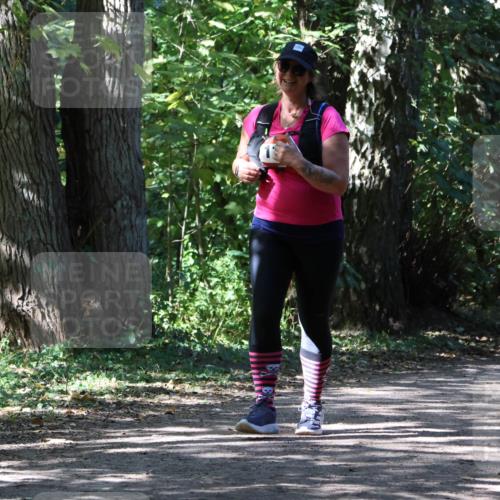 28.09.2025 - 33. Volkslauf durch das schöne Alstertal Strokosch-Dieckow http://msf.ph/oto/8974792 28.09.2025 13:02:24 Laufen  meine-sportfotos.de