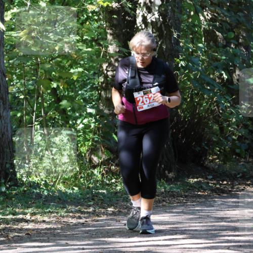 28.09.2025 - 33. Volkslauf durch das schöne Alstertal Strokosch-Dieckow http://msf.ph/oto/8974795 28.09.2025 13:02:32 Laufen 262 meine-sportfotos.de