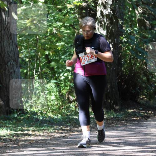 28.09.2025 - 33. Volkslauf durch das schöne Alstertal Strokosch-Dieckow http://msf.ph/oto/8974799 28.09.2025 13:02:32 Laufen 2623 meine-sportfotos.de