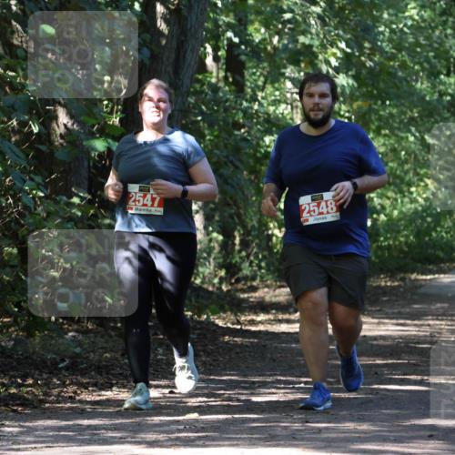 28.09.2025 - 33. Volkslauf durch das schöne Alstertal Strokosch-Dieckow http://msf.ph/oto/8974806 28.09.2025 13:03:05 Laufen 2547, 2548 meine-sportfotos.de