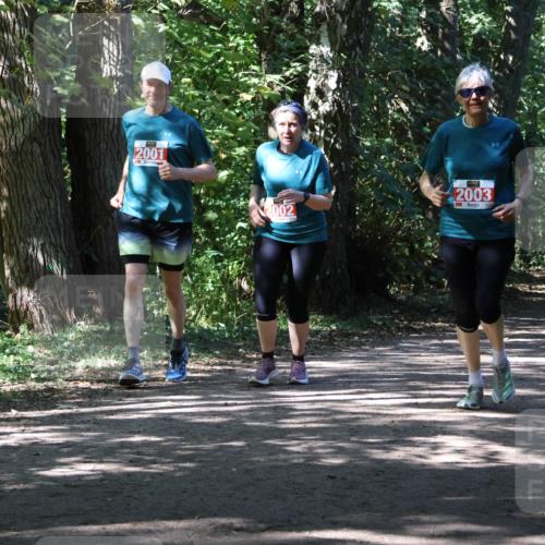 28.09.2025 - 33. Volkslauf durch das schöne Alstertal Strokosch-Dieckow http://msf.ph/oto/8974826 28.09.2025 13:05:56 Laufen 2001, 2002, 2003 meine-sportfotos.de