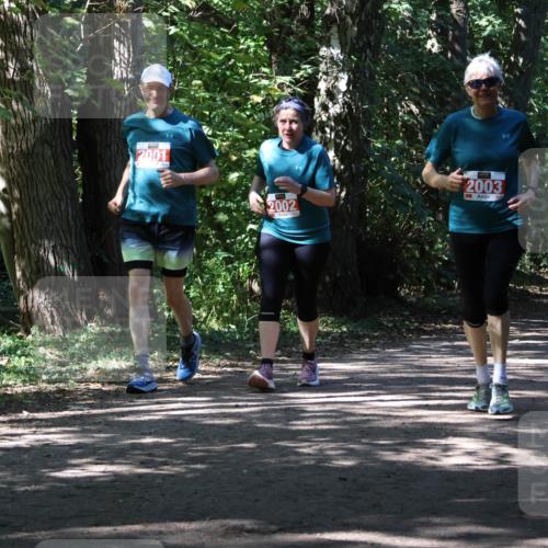 28.09.2025 - 33. Volkslauf durch das schöne Alstertal Strokosch-Dieckow http://msf.ph/oto/8974827 28.09.2025 13:05:56 Laufen 2001, 2002, 2003 meine-sportfotos.de