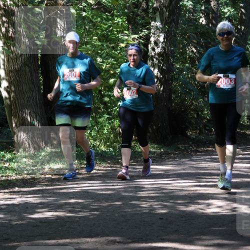 28.09.2025 - 33. Volkslauf durch das schöne Alstertal Strokosch-Dieckow http://msf.ph/oto/8974828 28.09.2025 13:05:56 Laufen 2001, 2002, 2003 meine-sportfotos.de