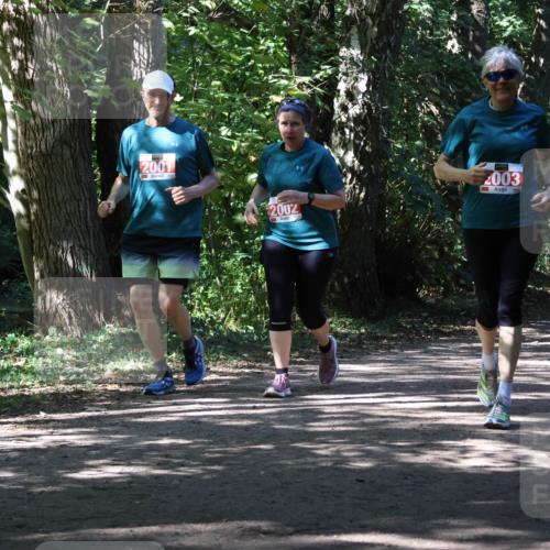 28.09.2025 - 33. Volkslauf durch das schöne Alstertal Strokosch-Dieckow http://msf.ph/oto/8974829 28.09.2025 13:05:56 Laufen 2001 meine-sportfotos.de