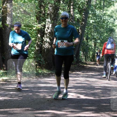 28.09.2025 - 33. Volkslauf durch das schöne Alstertal Strokosch-Dieckow http://msf.ph/oto/8974831 28.09.2025 13:05:57 Laufen 2001, 200 meine-sportfotos.de