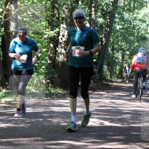 28.09.2025 - 33. Volkslauf durch das schöne Alstertal Strokosch-Dieckow http://msf.ph/oto/8974833 28.09.2025 13:05:58 Laufen 2001, 2005 meine-sportfotos.de
