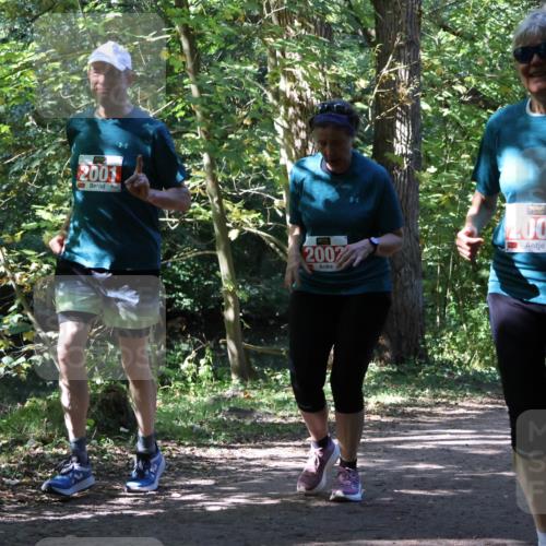 28.09.2025 - 33. Volkslauf durch das schöne Alstertal Strokosch-Dieckow http://msf.ph/oto/8974835 28.09.2025 13:05:58 Laufen 2001, 2002, 2003 meine-sportfotos.de