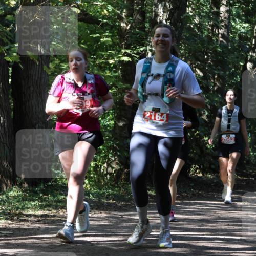 28.09.2025 - 33. Volkslauf durch das schöne Alstertal Strokosch-Dieckow http://msf.ph/oto/8974873 28.09.2025 13:14:30 Laufen 99, 2164, 2643 meine-sportfotos.de