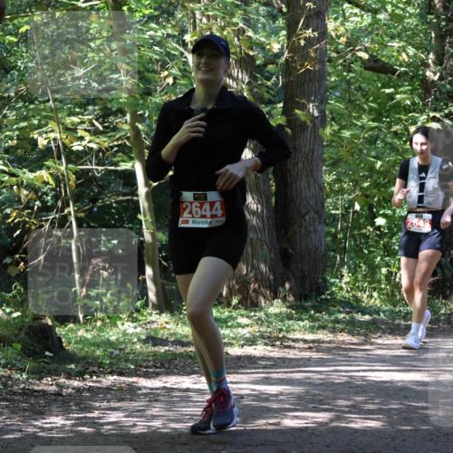 28.09.2025 - 33. Volkslauf durch das schöne Alstertal Strokosch-Dieckow http://msf.ph/oto/8974877 28.09.2025 13:14:33 Laufen 2644 meine-sportfotos.de
