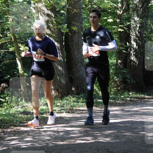 28.09.2025 - 33. Volkslauf durch das schöne Alstertal Strokosch-Dieckow http://msf.ph/oto/8974894 28.09.2025 13:17:32 Laufen 2473 meine-sportfotos.de