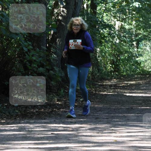 28.09.2025 - 33. Volkslauf durch das schöne Alstertal Strokosch-Dieckow http://msf.ph/oto/8974914 28.09.2025 13:35:04 Laufen 22 meine-sportfotos.de