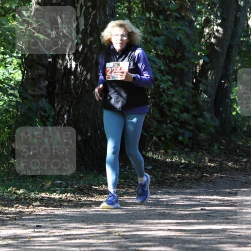 28.09.2025 - 33. Volkslauf durch das schöne Alstertal Strokosch-Dieckow http://msf.ph/oto/8974920 28.09.2025 13:35:07 Laufen 22 meine-sportfotos.de