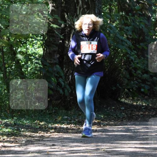 28.09.2025 - 33. Volkslauf durch das schöne Alstertal Strokosch-Dieckow http://msf.ph/oto/8974926 28.09.2025 13:35:07 Laufen 2219 meine-sportfotos.de