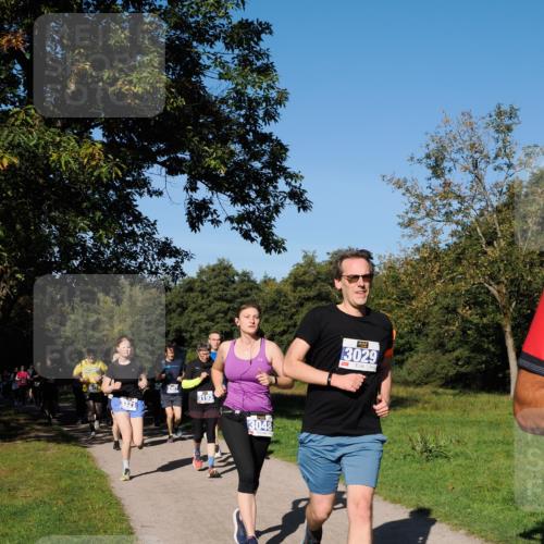 28.09.2025 - 33. Volkslauf durch das schöne Alstertal Fabian Wolf http://msf.ph/oto/8974938 28.09.2025 10:35:32 Laufen 3193, 3048, 3029 meine-sportfotos.de