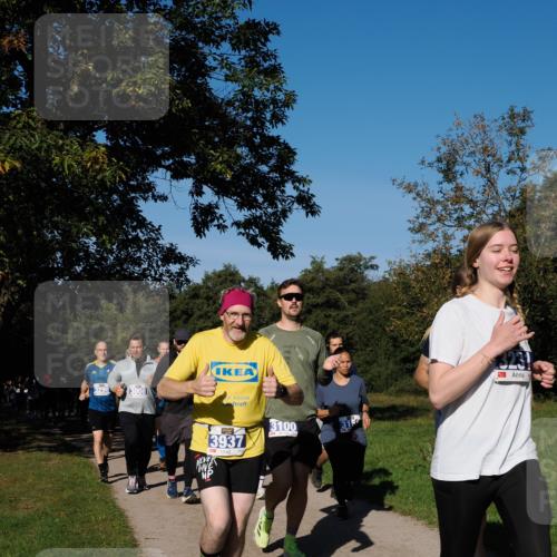 28.09.2025 - 33. Volkslauf durch das schöne Alstertal Fabian Wolf http://msf.ph/oto/8974977 28.09.2025 10:35:37 Laufen 3298, 3008, 3937, 3100, 3231 meine-sportfotos.de
