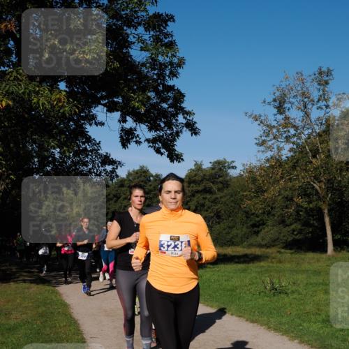 28.09.2025 - 33. Volkslauf durch das schöne Alstertal Fabian Wolf http://msf.ph/oto/8975017 28.09.2025 10:35:41 Laufen 3177, 3236 meine-sportfotos.de