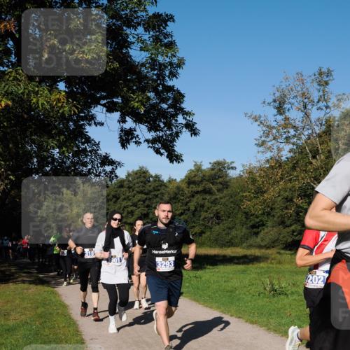 28.09.2025 - 33. Volkslauf durch das schöne Alstertal Fabian Wolf http://msf.ph/oto/8975059 28.09.2025 10:35:46 Laufen 318, 3293, 202 meine-sportfotos.de