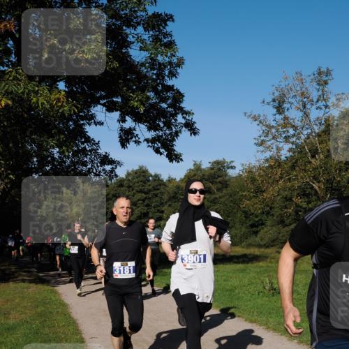 28.09.2025 - 33. Volkslauf durch das schöne Alstertal Fabian Wolf http://msf.ph/oto/8975072 28.09.2025 10:35:47 Laufen 120, 3181, 115, 3901 meine-sportfotos.de