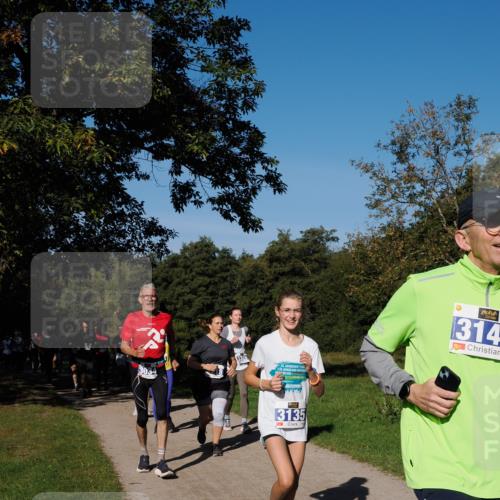 28.09.2025 - 33. Volkslauf durch das schöne Alstertal Fabian Wolf http://msf.ph/oto/8975101 28.09.2025 10:35:53 Laufen 3385, 56, 3135, 314 meine-sportfotos.de