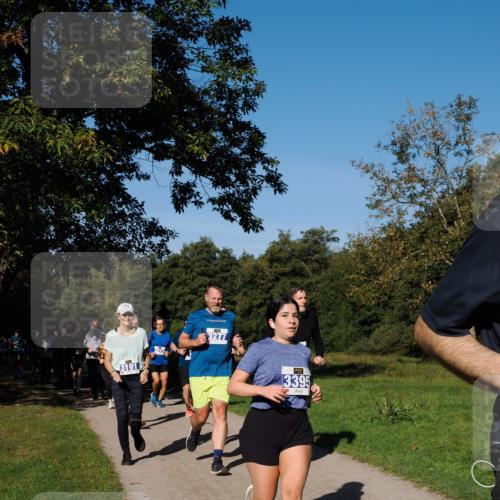 28.09.2025 - 33. Volkslauf durch das schöne Alstertal Fabian Wolf http://msf.ph/oto/8975145 28.09.2025 10:36:00 Laufen 3273, 3191, 3277, 3395 meine-sportfotos.de