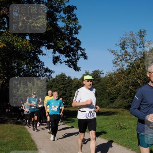 28.09.2025 - 33. Volkslauf durch das schöne Alstertal Fabian Wolf http://msf.ph/oto/8975237 28.09.2025 10:36:11 Laufen 3, 3086, 3182 meine-sportfotos.de