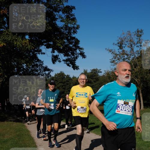28.09.2025 - 33. Volkslauf durch das schöne Alstertal Fabian Wolf http://msf.ph/oto/8975245 28.09.2025 10:36:13 Laufen 2025, 3903, 3086 meine-sportfotos.de