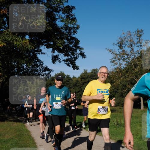 28.09.2025 - 33. Volkslauf durch das schöne Alstertal Fabian Wolf http://msf.ph/oto/8975249 28.09.2025 10:36:14 Laufen 2, 025, 3003, 3903 meine-sportfotos.de