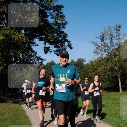 28.09.2025 - 33. Volkslauf durch das schöne Alstertal Fabian Wolf http://msf.ph/oto/8975258 28.09.2025 10:36:15 Laufen 2025, 3405, 3003, 302, 3242 meine-sportfotos.de