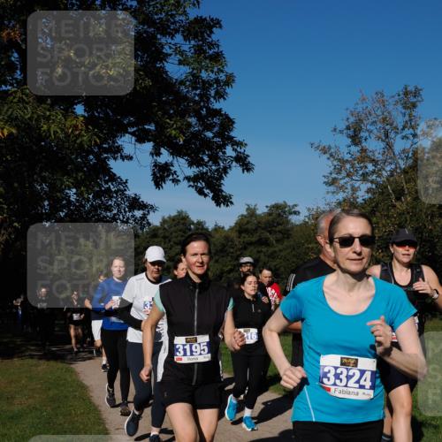 28.09.2025 - 33. Volkslauf durch das schöne Alstertal Fabian Wolf http://msf.ph/oto/8975285 28.09.2025 10:36:18 Laufen 3195, 16, 3324 meine-sportfotos.de