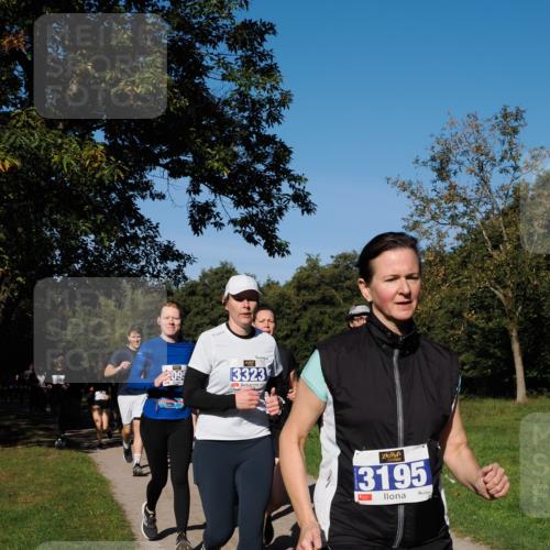 28.09.2025 - 33. Volkslauf durch das schöne Alstertal Fabian Wolf http://msf.ph/oto/8975292 28.09.2025 10:36:18 Laufen 09, 3323, 3195 meine-sportfotos.de