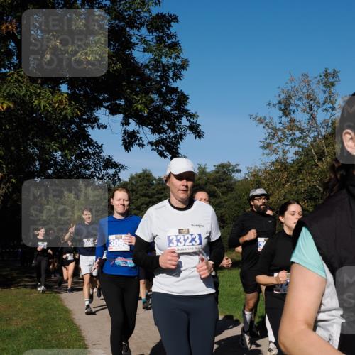 28.09.2025 - 33. Volkslauf durch das schöne Alstertal Fabian Wolf http://msf.ph/oto/8975297 28.09.2025 10:36:19 Laufen 3949, 3095, 3323 meine-sportfotos.de
