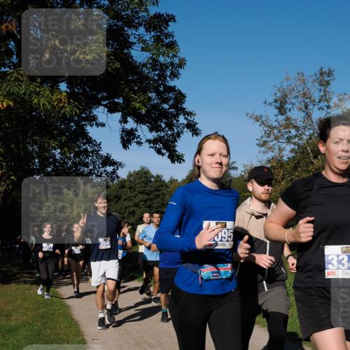 28.09.2025 - 33. Volkslauf durch das schöne Alstertal Fabian Wolf http://msf.ph/oto/8975305 28.09.2025 10:36:20 Laufen 3377, 394, 095, 334 meine-sportfotos.de