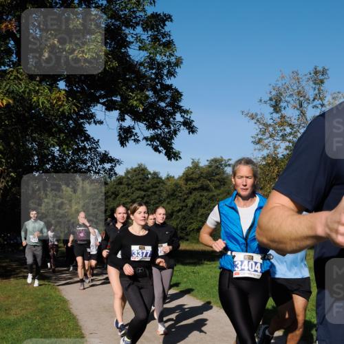 28.09.2025 - 33. Volkslauf durch das schöne Alstertal Fabian Wolf http://msf.ph/oto/8975330 28.09.2025 10:36:22 Laufen 3377, 3404 meine-sportfotos.de