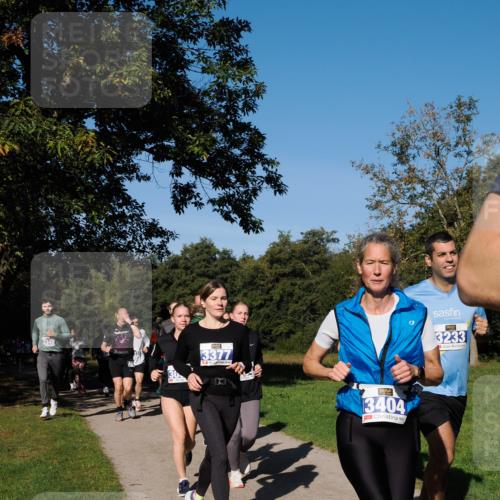 28.09.2025 - 33. Volkslauf durch das schöne Alstertal Fabian Wolf http://msf.ph/oto/8975331 28.09.2025 10:36:22 Laufen 3377, 3404, 3233 meine-sportfotos.de