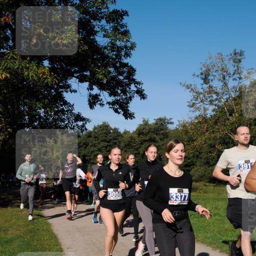 28.09.2025 - 33. Volkslauf durch das schöne Alstertal Fabian Wolf http://msf.ph/oto/8975332 28.09.2025 10:36:23 Laufen 3050, 3377, 391 meine-sportfotos.de