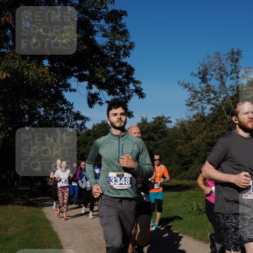 28.09.2025 - 33. Volkslauf durch das schöne Alstertal Fabian Wolf http://msf.ph/oto/8975353 28.09.2025 10:36:25 Laufen 3130, 3348, 30 meine-sportfotos.de