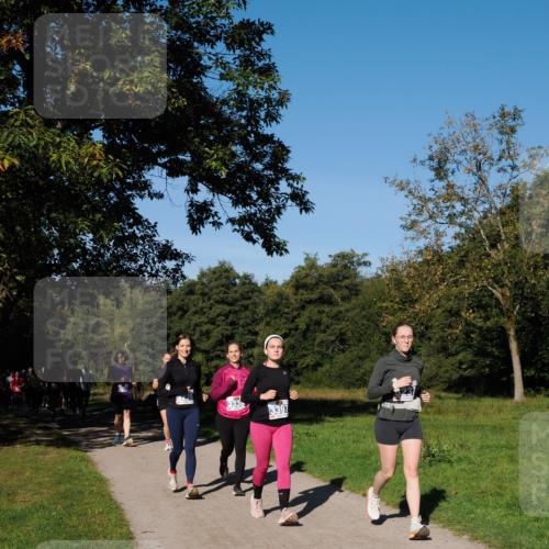 28.09.2025 - 33. Volkslauf durch das schöne Alstertal Fabian Wolf http://msf.ph/oto/8975400 28.09.2025 10:36:32 Laufen 3397 meine-sportfotos.de