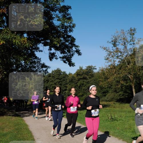 28.09.2025 - 33. Volkslauf durch das schöne Alstertal Fabian Wolf http://msf.ph/oto/8975407 28.09.2025 10:36:33 Laufen 3338, 3397, 13 meine-sportfotos.de
