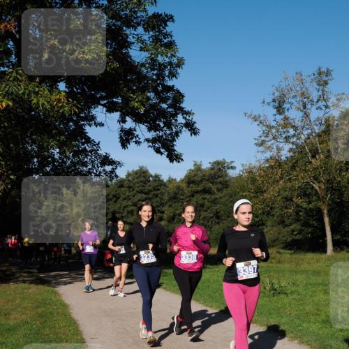 28.09.2025 - 33. Volkslauf durch das schöne Alstertal Fabian Wolf http://msf.ph/oto/8975409 28.09.2025 10:36:33 Laufen 3235, 3338, 3397 meine-sportfotos.de