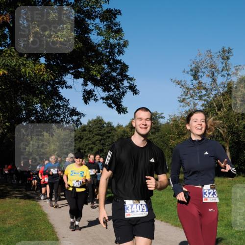 28.09.2025 - 33. Volkslauf durch das schöne Alstertal Fabian Wolf http://msf.ph/oto/8975463 28.09.2025 10:36:42 Laufen 281, 3409, 323 meine-sportfotos.de