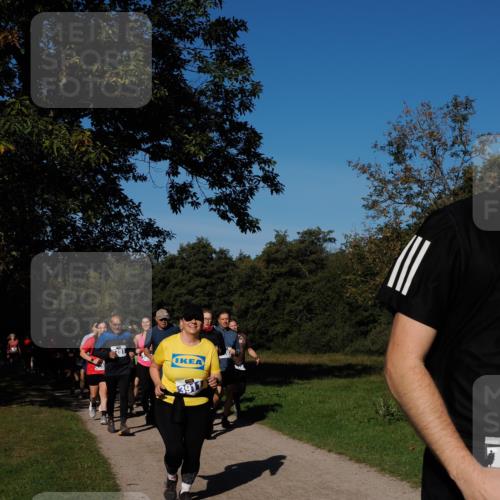 28.09.2025 - 33. Volkslauf durch das schöne Alstertal Fabian Wolf http://msf.ph/oto/8975470 28.09.2025 10:36:43 Laufen 281, 391 meine-sportfotos.de
