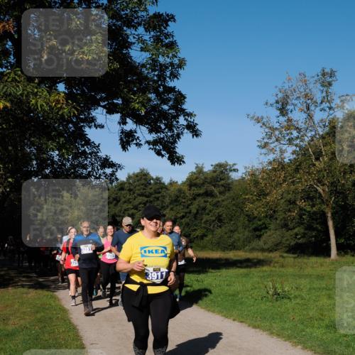 28.09.2025 - 33. Volkslauf durch das schöne Alstertal Fabian Wolf http://msf.ph/oto/8975471 28.09.2025 10:36:43 Laufen 3281, 3251, 3911 meine-sportfotos.de