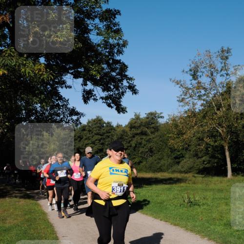 28.09.2025 - 33. Volkslauf durch das schöne Alstertal Fabian Wolf http://msf.ph/oto/8975474 28.09.2025 10:36:43 Laufen 3281, 3911 meine-sportfotos.de