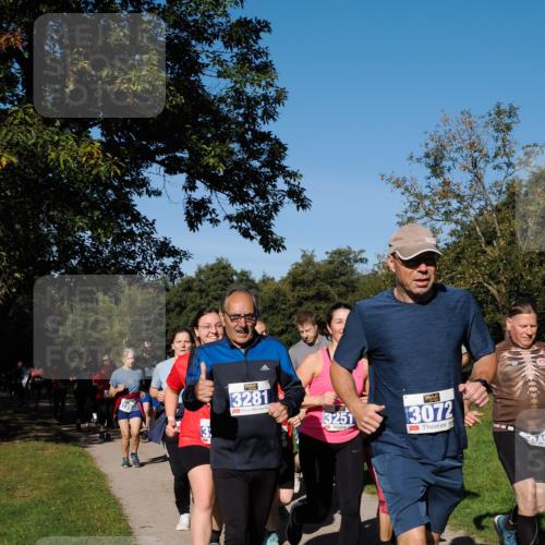 28.09.2025 - 33. Volkslauf durch das schöne Alstertal Fabian Wolf http://msf.ph/oto/8975495 28.09.2025 10:36:46 Laufen 126, 3281, 3251, 3072 meine-sportfotos.de