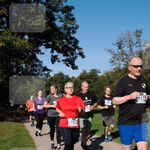 28.09.2025 - 33. Volkslauf durch das schöne Alstertal Fabian Wolf http://msf.ph/oto/8975543 28.09.2025 10:36:51 Laufen 3073, 3258, 3105, 3284, 3289, 39 meine-sportfotos.de
