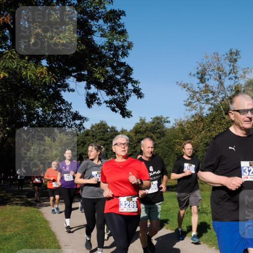 28.09.2025 - 33. Volkslauf durch das schöne Alstertal Fabian Wolf http://msf.ph/oto/8975544 28.09.2025 10:36:51 Laufen 2, 3258, 3105, 325, 3289, 98 meine-sportfotos.de