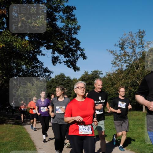 28.09.2025 - 33. Volkslauf durch das schöne Alstertal Fabian Wolf http://msf.ph/oto/8975546 28.09.2025 10:36:52 Laufen 2, 3258, 34, 3289, 3105 meine-sportfotos.de